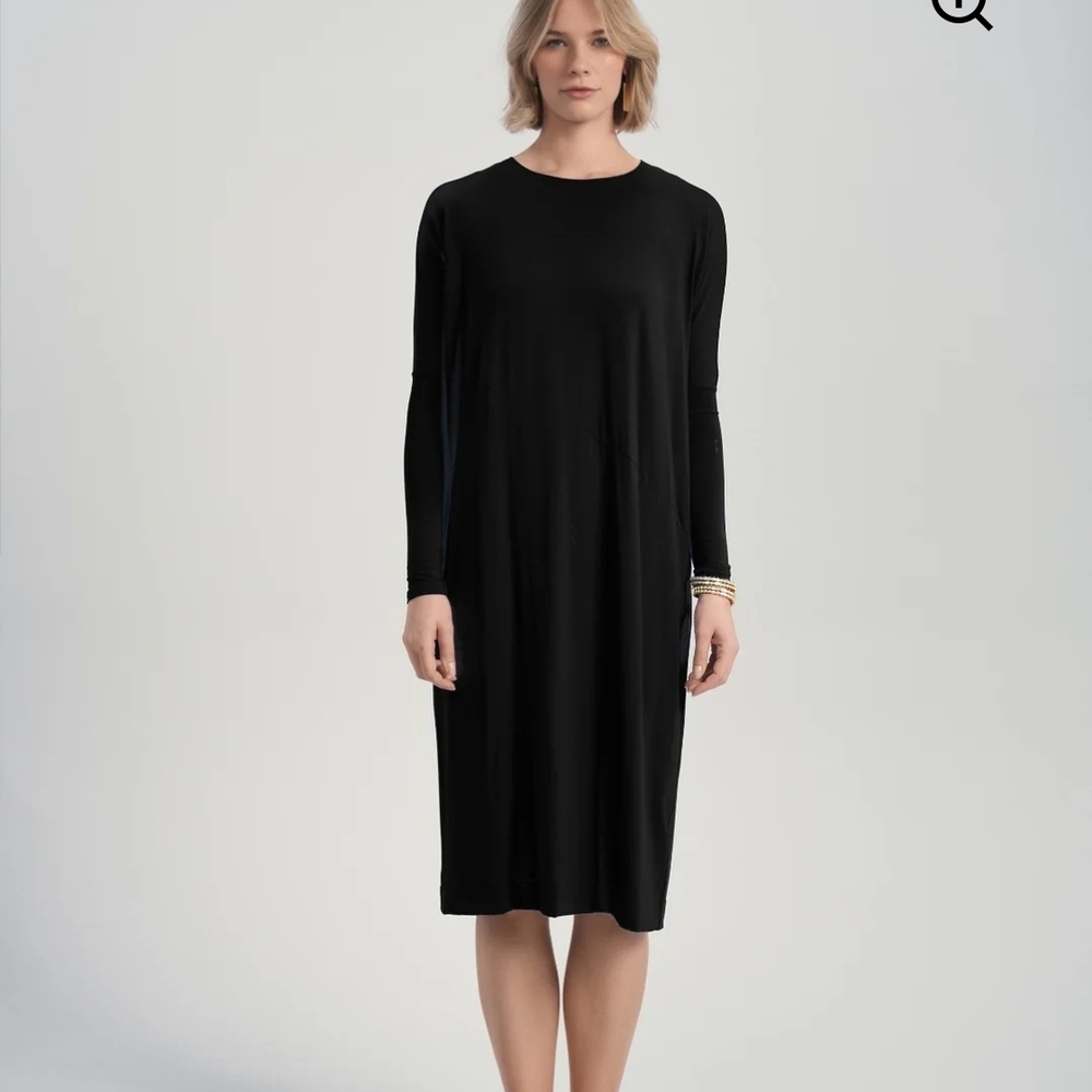 Elegant Black Long Sleeve Dress